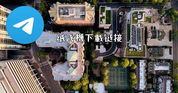 纸飞機下載链接