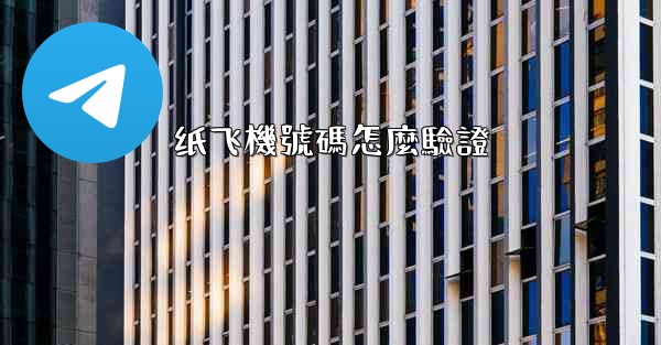 纸飞機號碼怎麼驗證