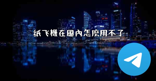 纸飞機在國內怎麼用不了