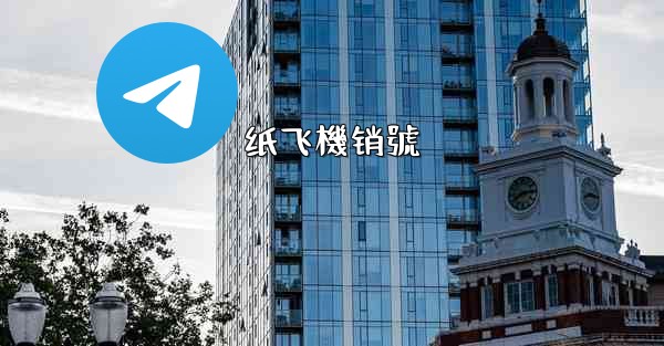 纸飞機销號
