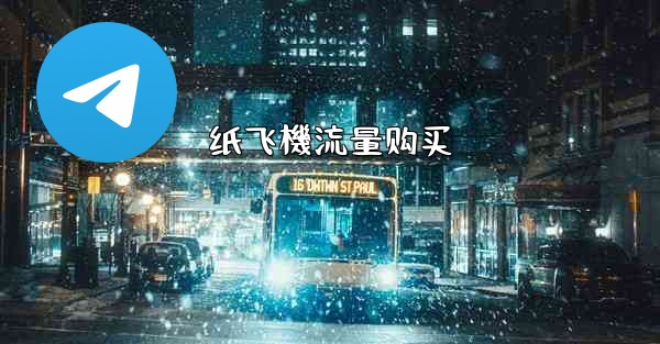纸飞機流量购买