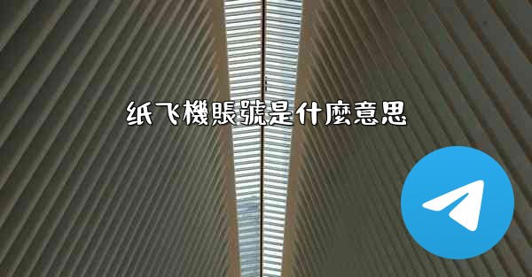 纸飞機賬號是什麼意思