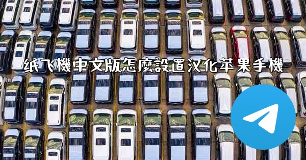 纸飞機中文版怎麼設置汉化苹果手機