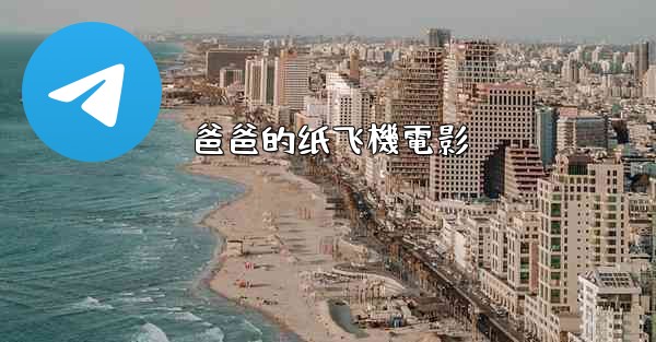 <b>爸爸的纸飞機電影</b>