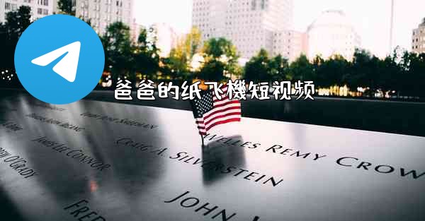 爸爸的纸飞機短视频