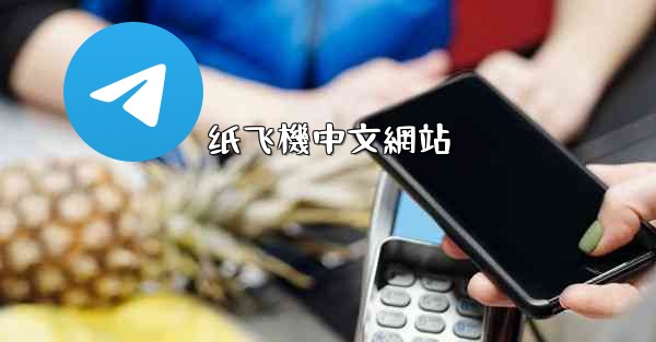 纸飞機中文網站