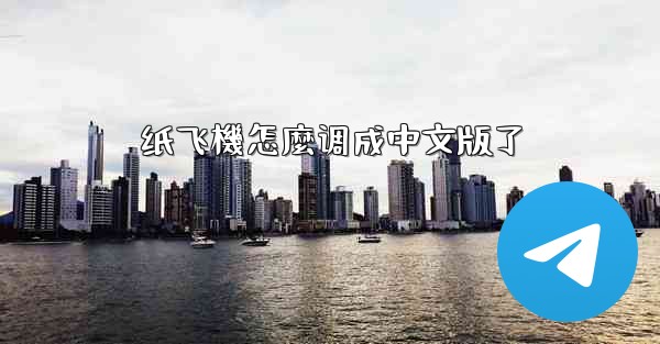 纸飞機怎麼调成中文版了