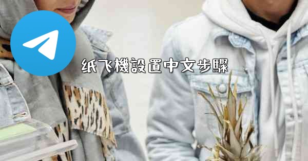 纸飞機設置中文步驟