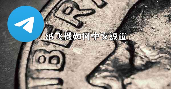 纸飞機如何中文設置