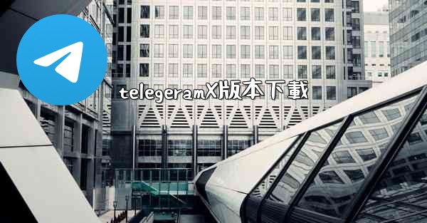telegeramX版本下載