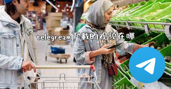 telegream下載的视频在哪