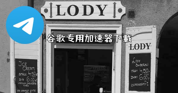 谷歌专用加速器下載