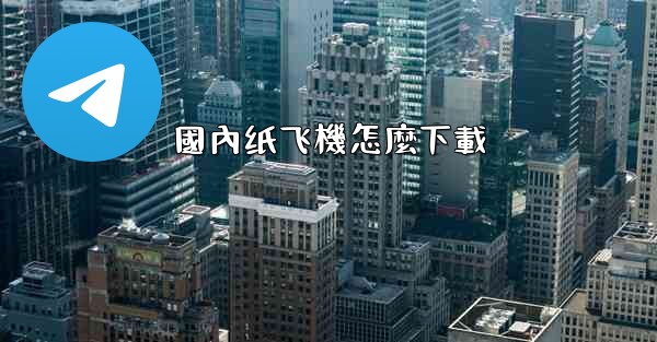 國內纸飞機怎麼下載