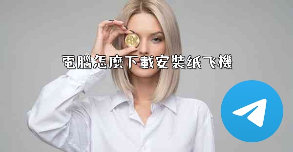 電腦怎麼下載安裝纸飞機