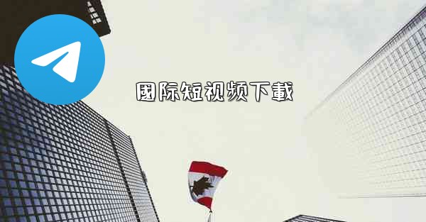 國际短视频下載