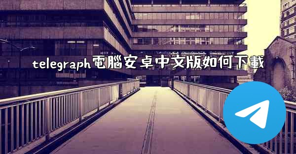 telegraph電腦安卓中文版如何下載