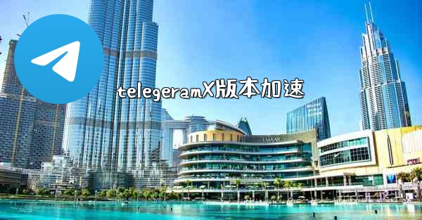 telegeramX版本加速