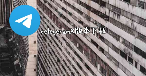 telegeramX版本下載