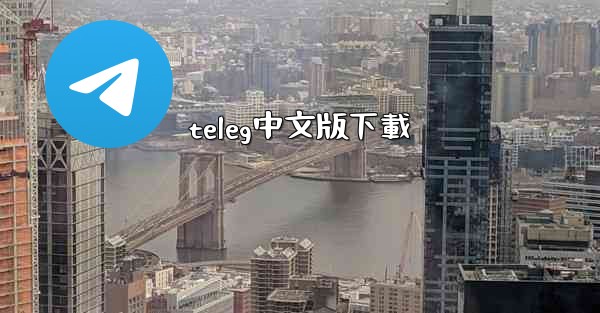 teleg中文版下載