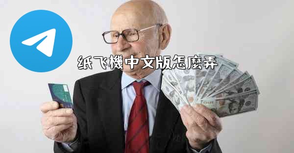 纸飞機中文版怎麼弄