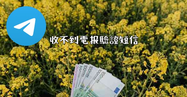 收不到電报驗證短信