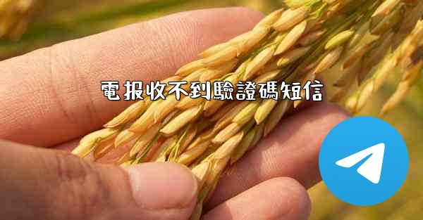 電报收不到驗證碼短信