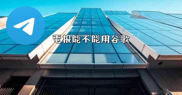 <b>電报能不能用谷歌</b>