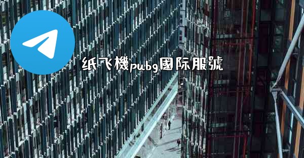 纸飞機pubg國际服號