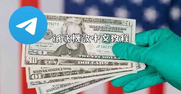 <b>纸飞機改中文教程</b>