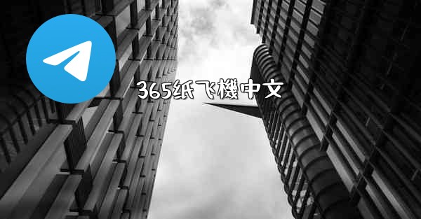 365纸飞機中文