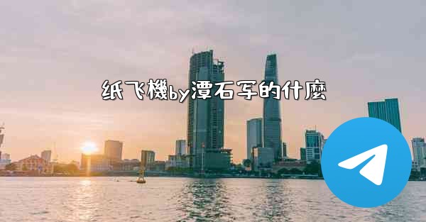 纸飞機by潭石写的什麼