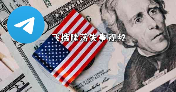 飞機降落失事视频