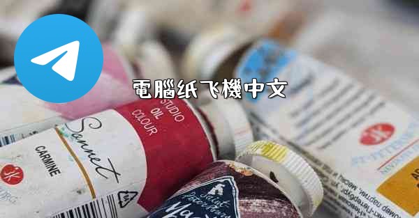 電腦纸飞機中文