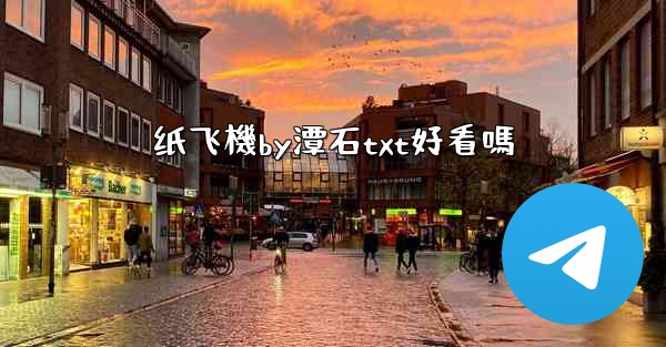 纸飞機by潭石txt好看嗎