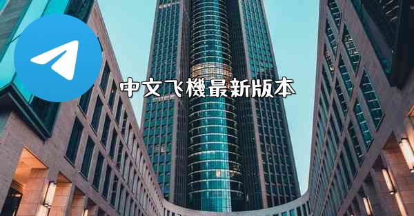 中文飞機最新版本