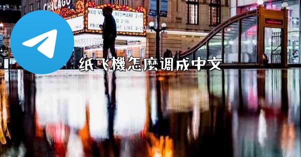 纸飞機怎麼调成中文