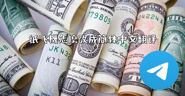 纸飞機怎麼改成簡体中文翻译