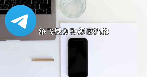 纸飞機视频怎麼播放