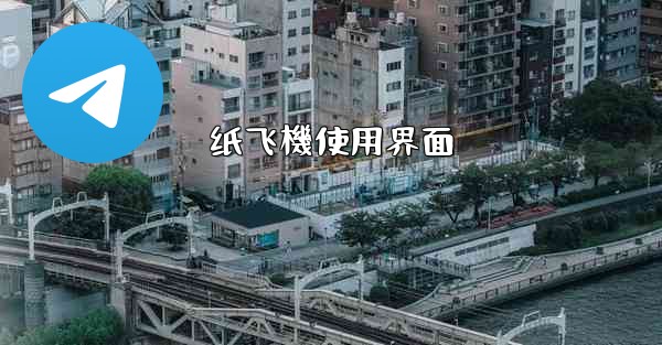 纸飞機使用界面