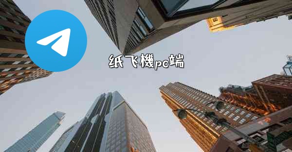 <b>纸飞機pc端</b>