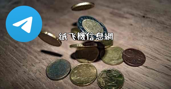 纸飞機信息網