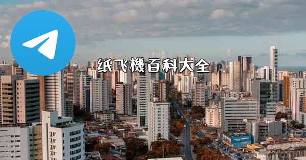 纸飞機百科大全