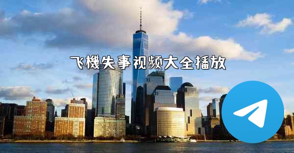 飞機失事视频大全播放