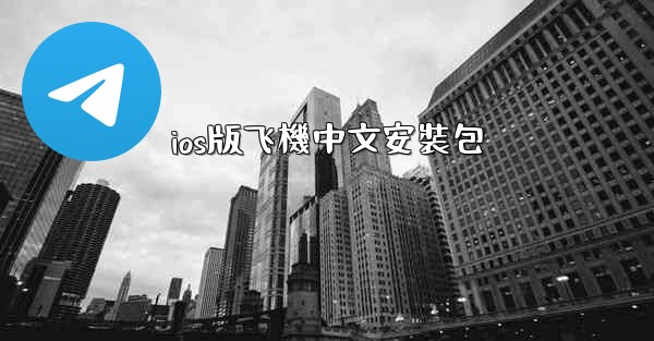 ios版飞機中文安裝包