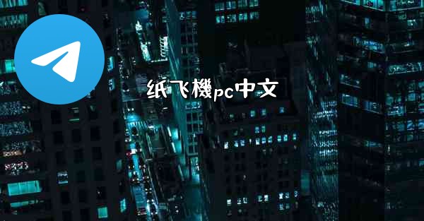 纸飞機pc中文