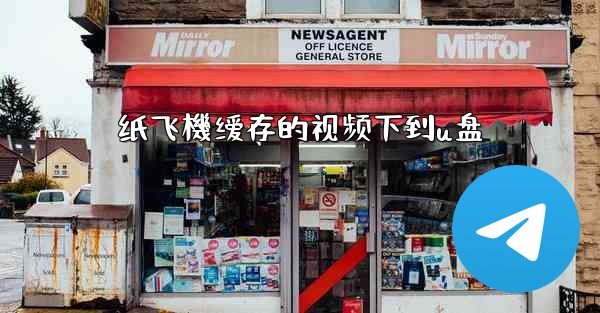 纸飞機缓存的视频下到u盘