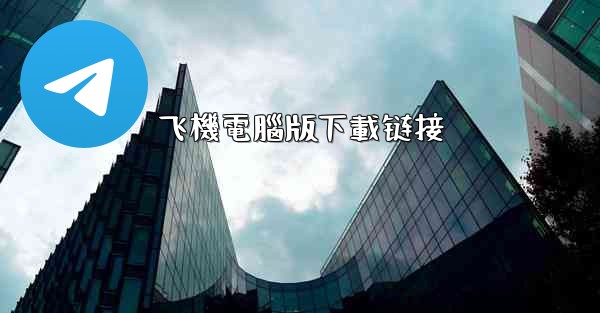 飞機電腦版下載链接