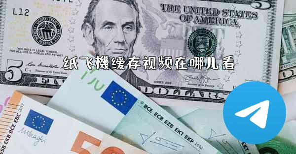 纸飞機缓存视频在哪儿看