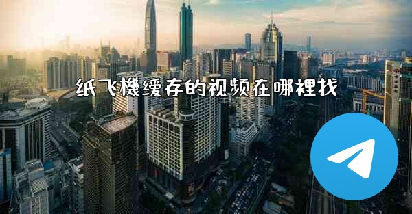 纸飞機缓存的视频在哪裡找