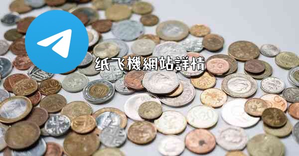 纸飞機網站詳情